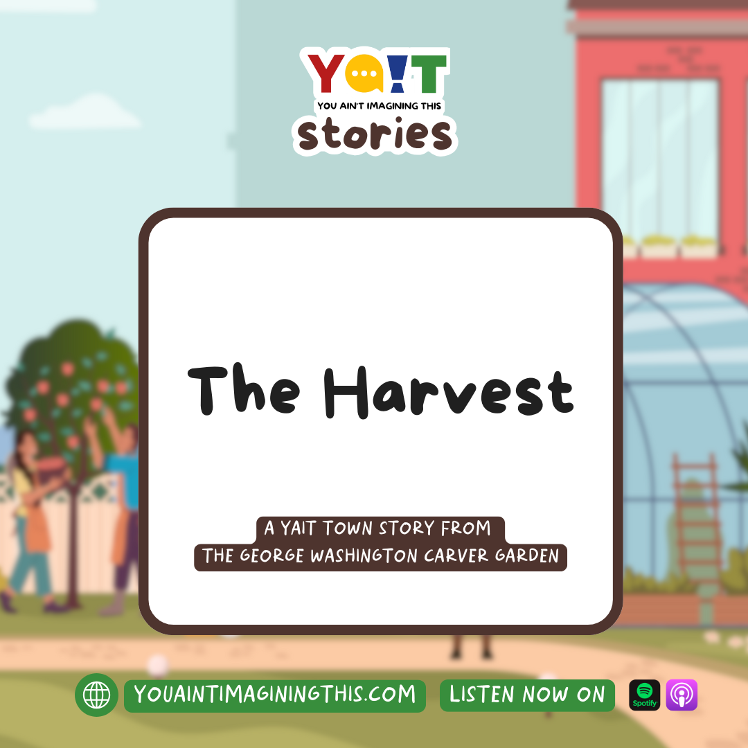 You Ain\'t Imagining This!