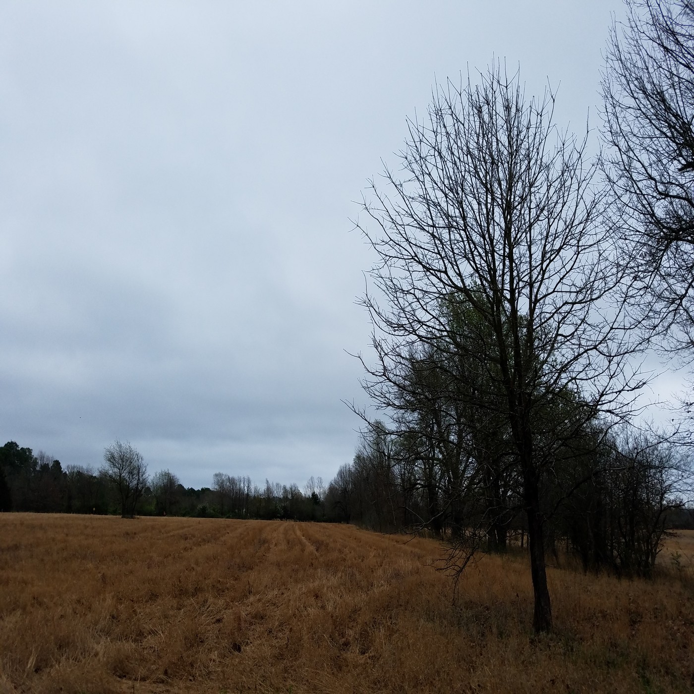 RAF064: Time and Water