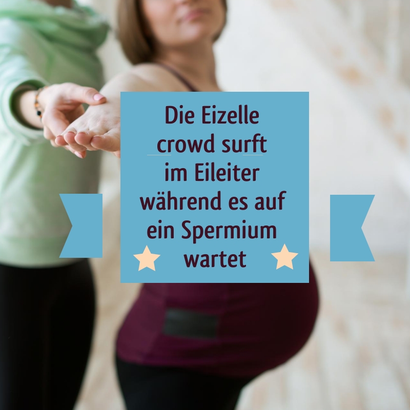 Wunderwelt Körper