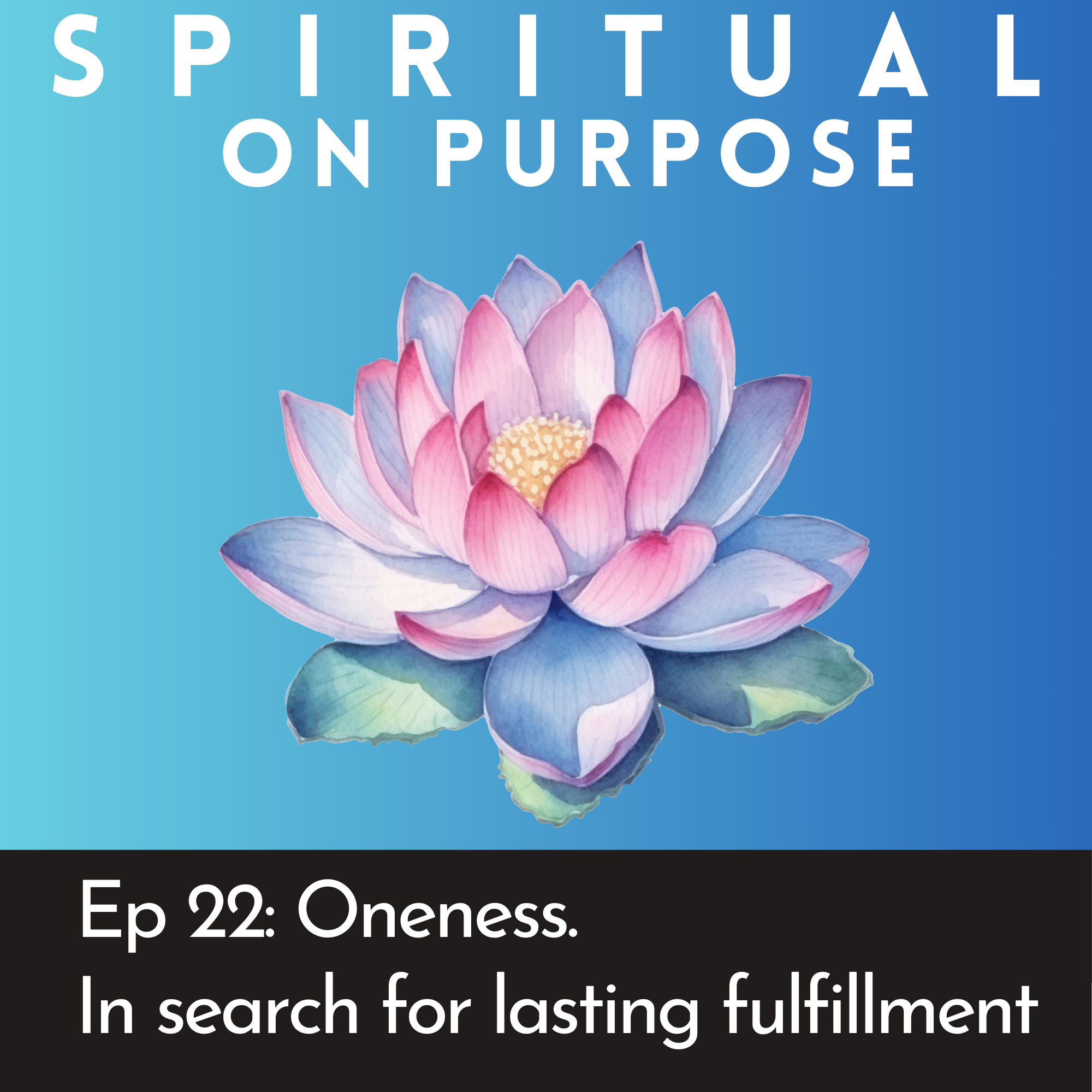 22. Oneness. The everyday search for fulfillment