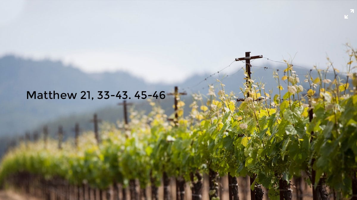 Sermon - 10-8-23