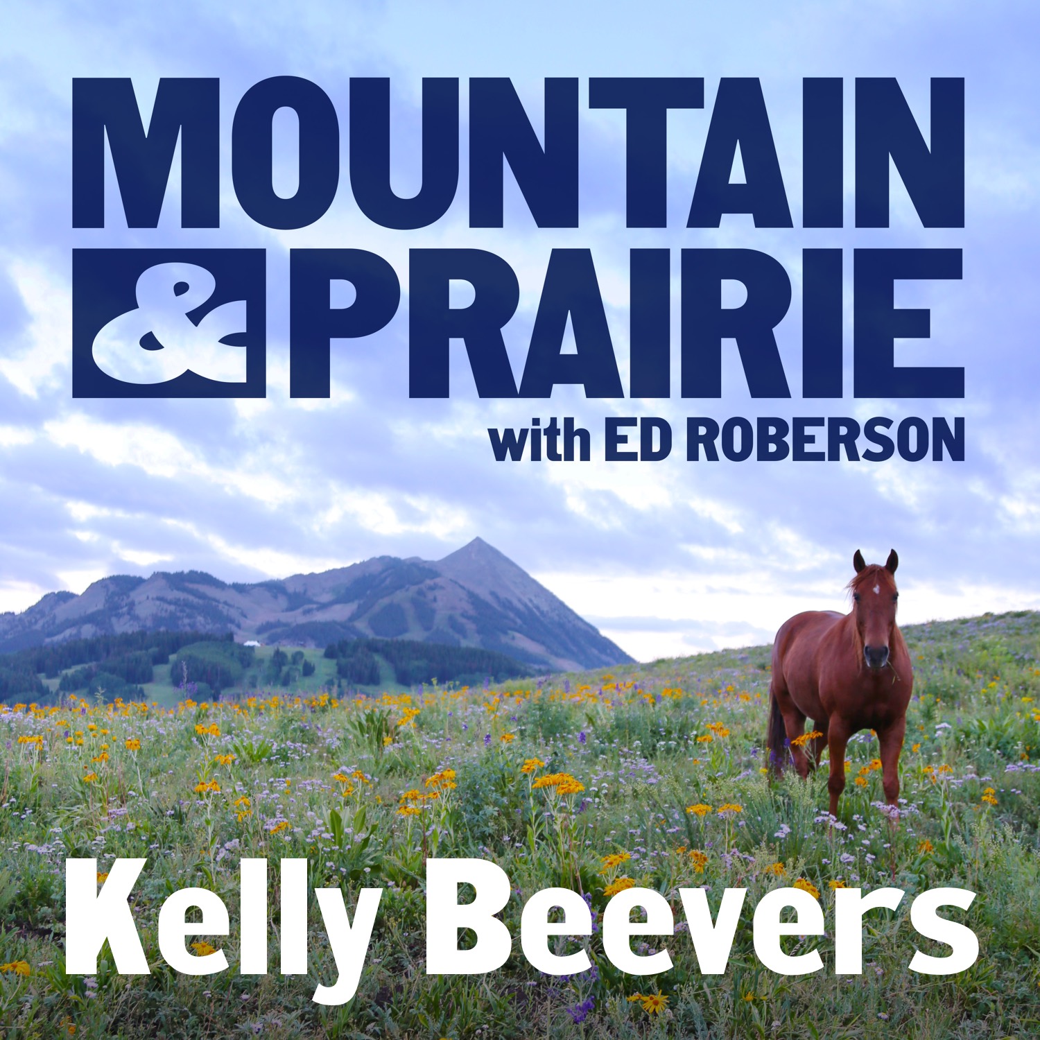 Kelly Beevers – Connection, Collaboration, Conservation