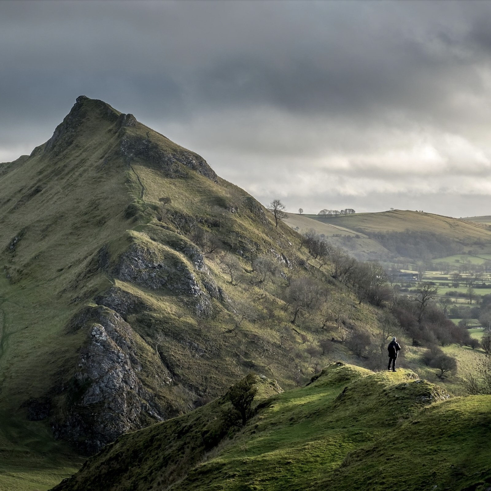 Rewilding the world, one acre at a time