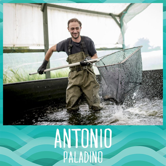 02 Antonio Paladino - Aquaponics in Action