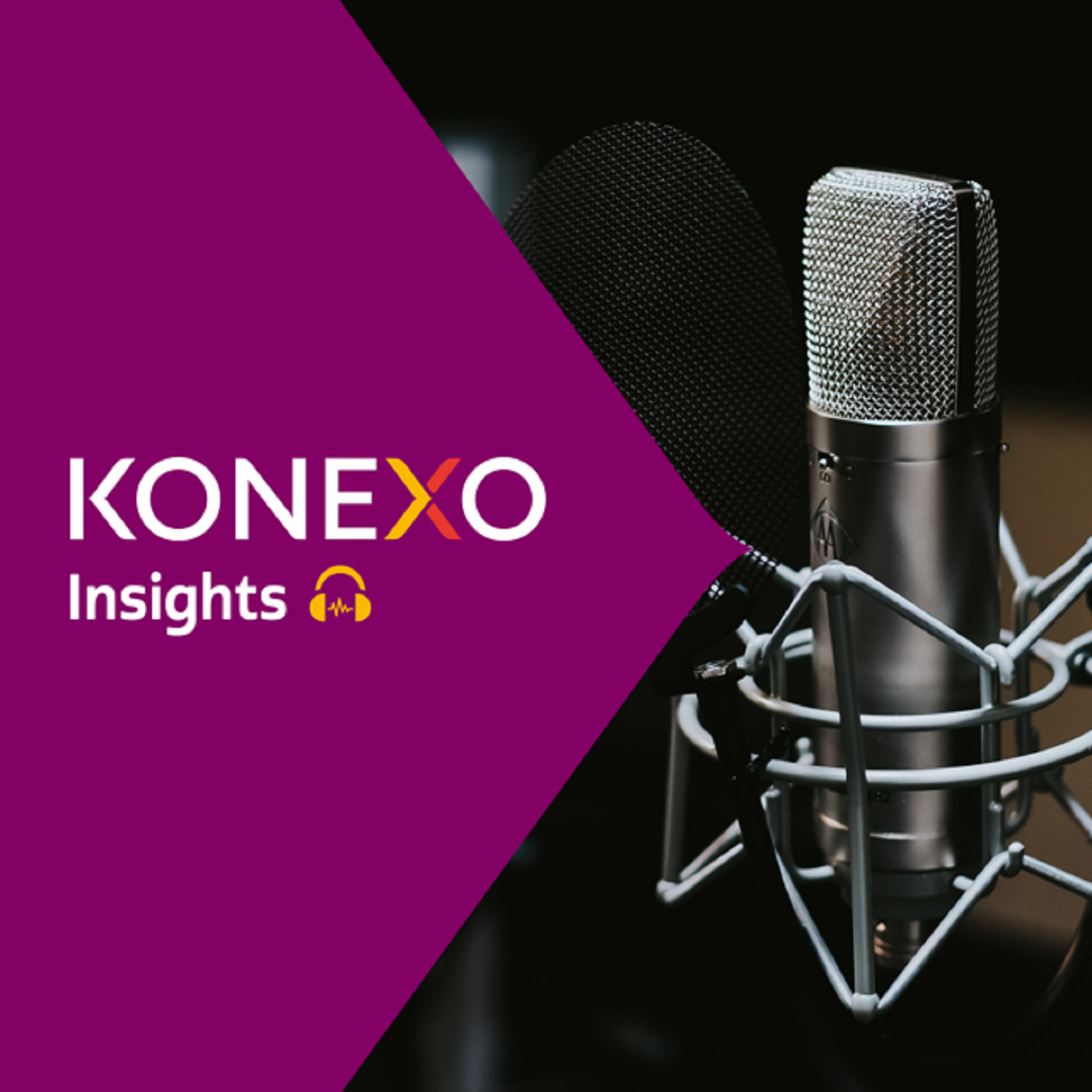 Konexo Insights