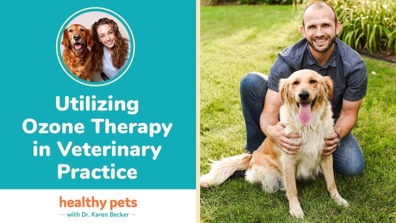 Utilizing Ozone Therapy in Veterinary Practice