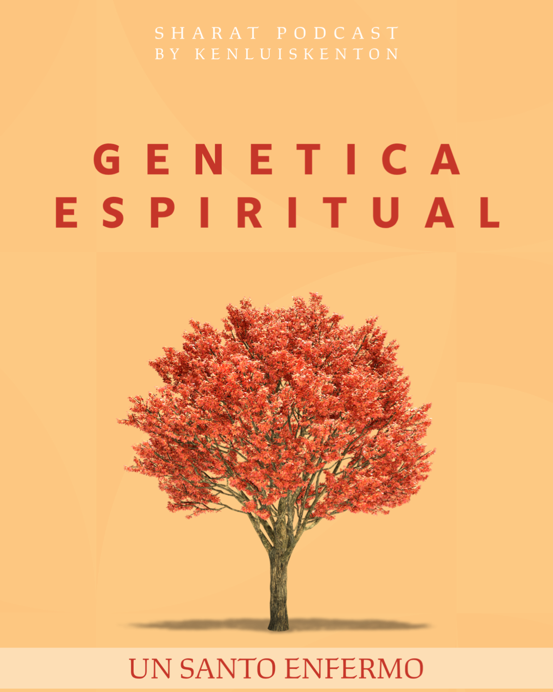 UN SANTO PERO ENFERMO? COMO PUEDE SER?