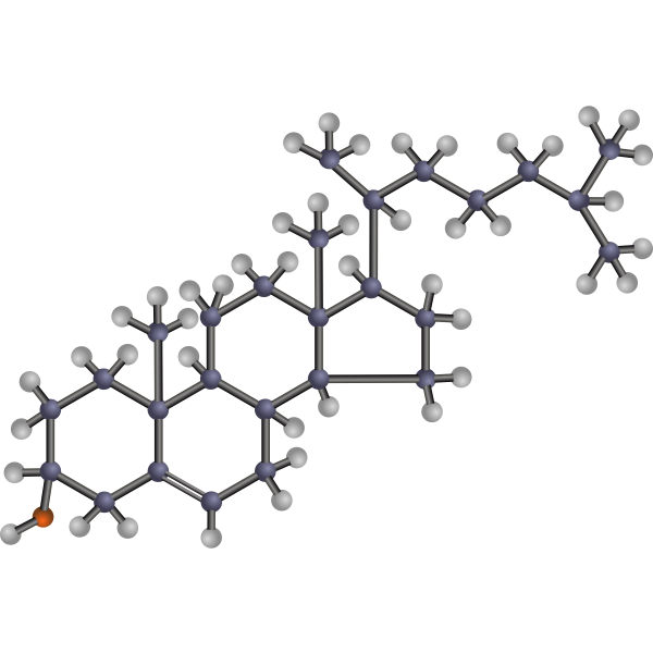 #212 - Cholesterol in Down syndrome - Should we worry about it?
