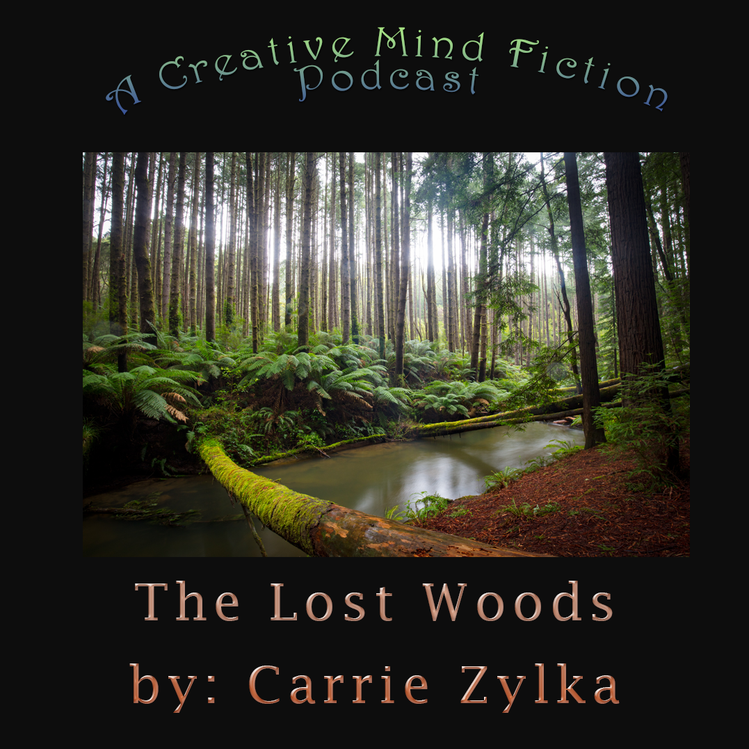 A Creative Mind Fiction Podcast, Short Stories & Flash Fiction Audio Books by Carrie Zylka.