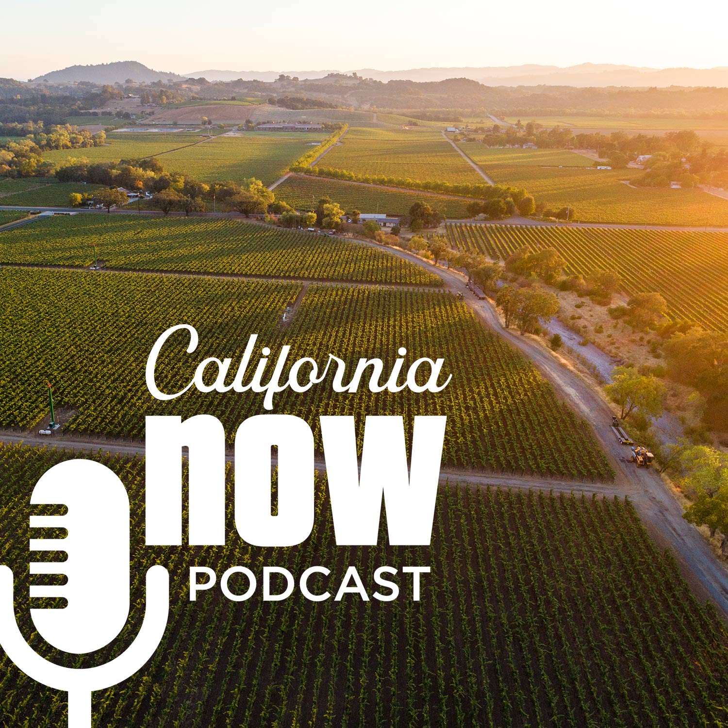 California Now Podcast