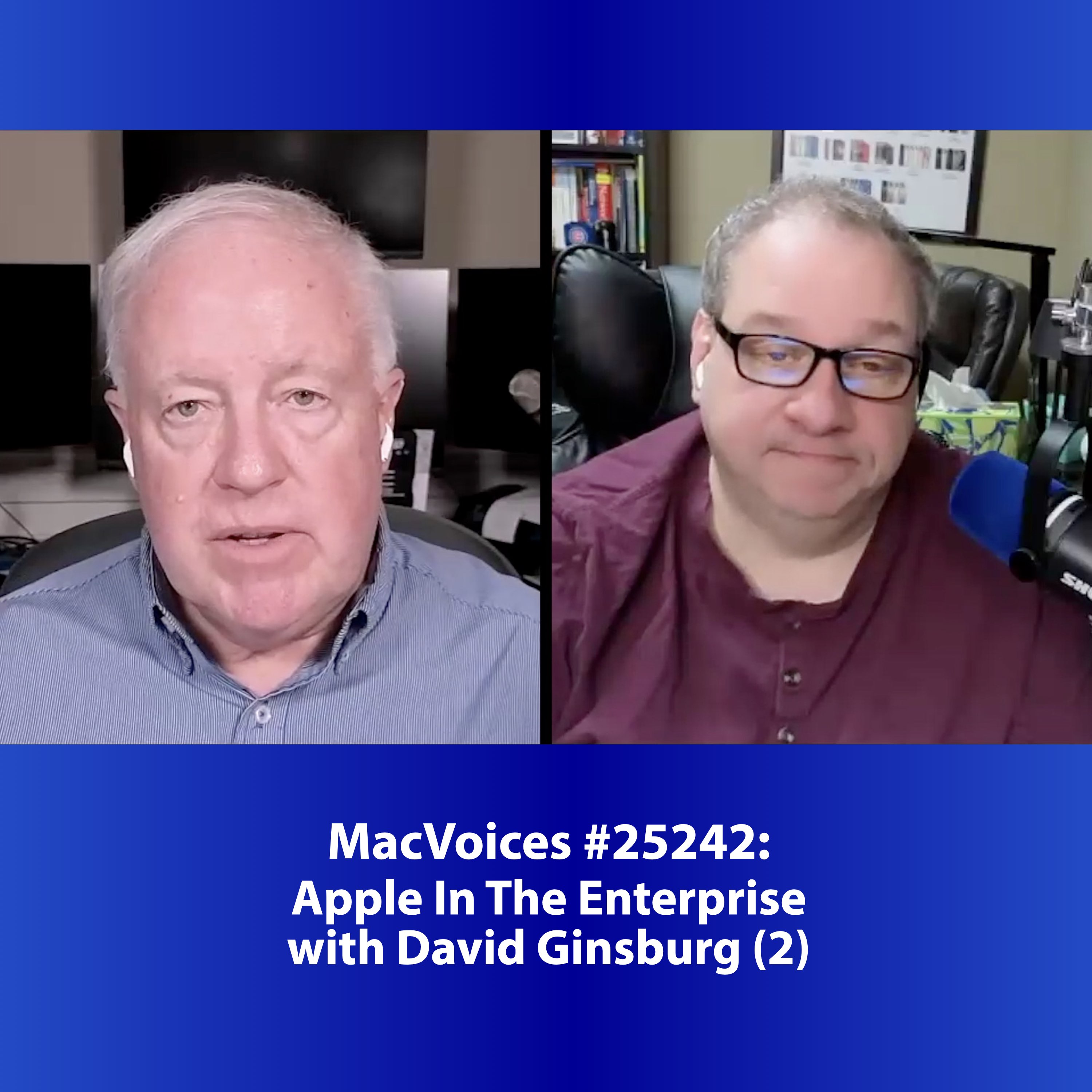 MacVoices #25242: Apple In The Enterprise with David Ginsburg (2)
