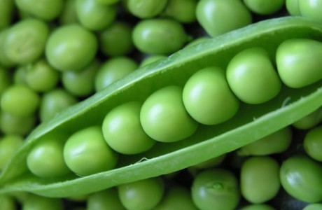 Adam\'s Peas In A Podcast