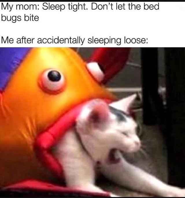 Cats, Cats, Cats