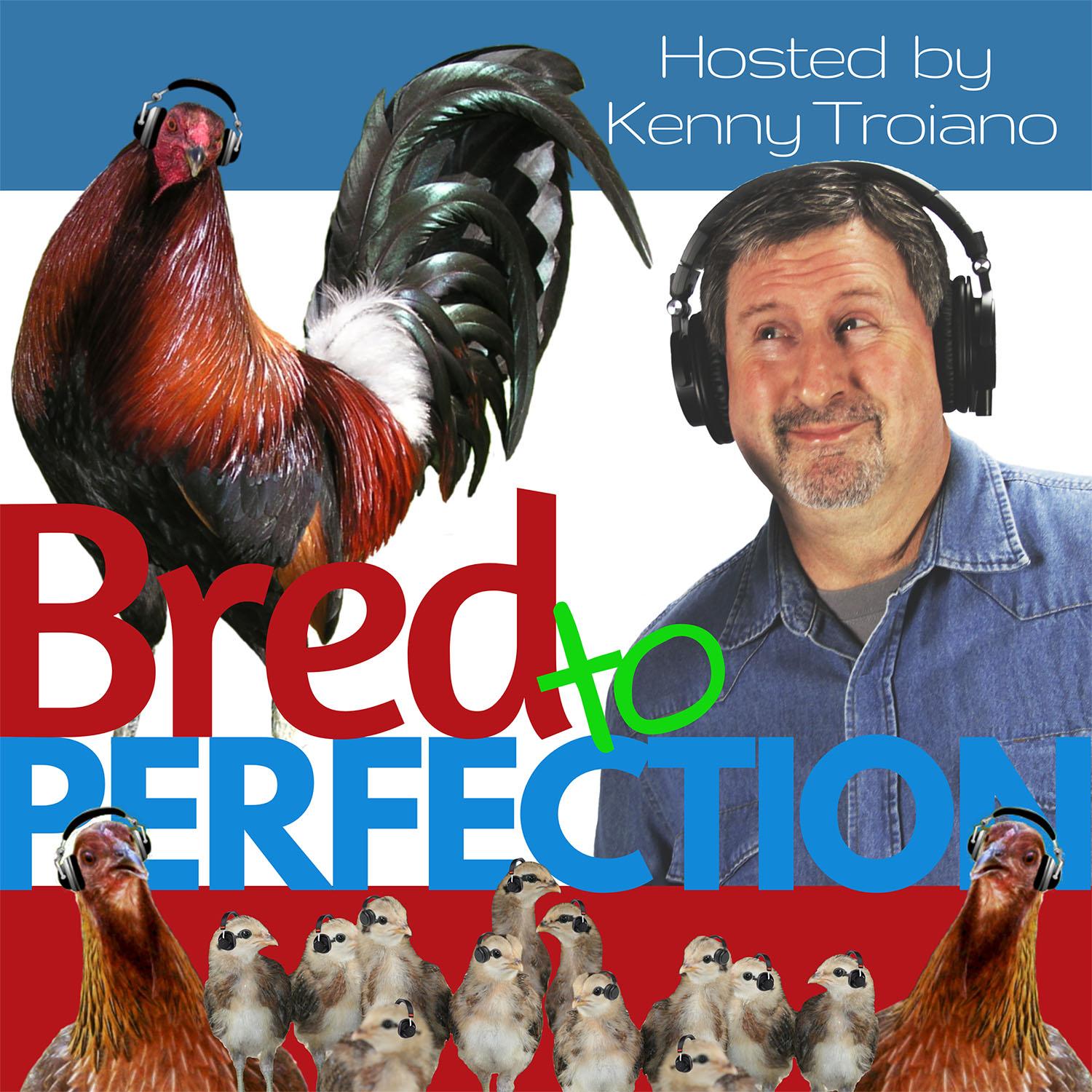 Ep25 - Why Starting with the Best Fowl Possible is so Important