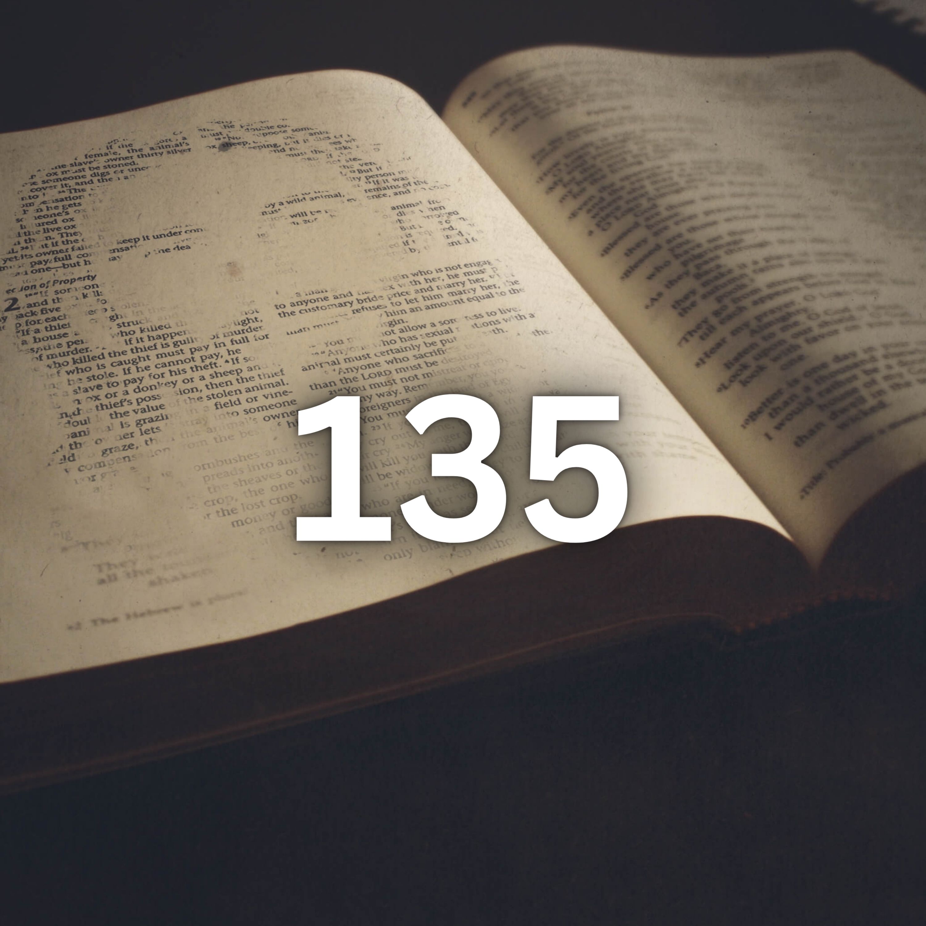 Walking With The Word | The Bible In 365