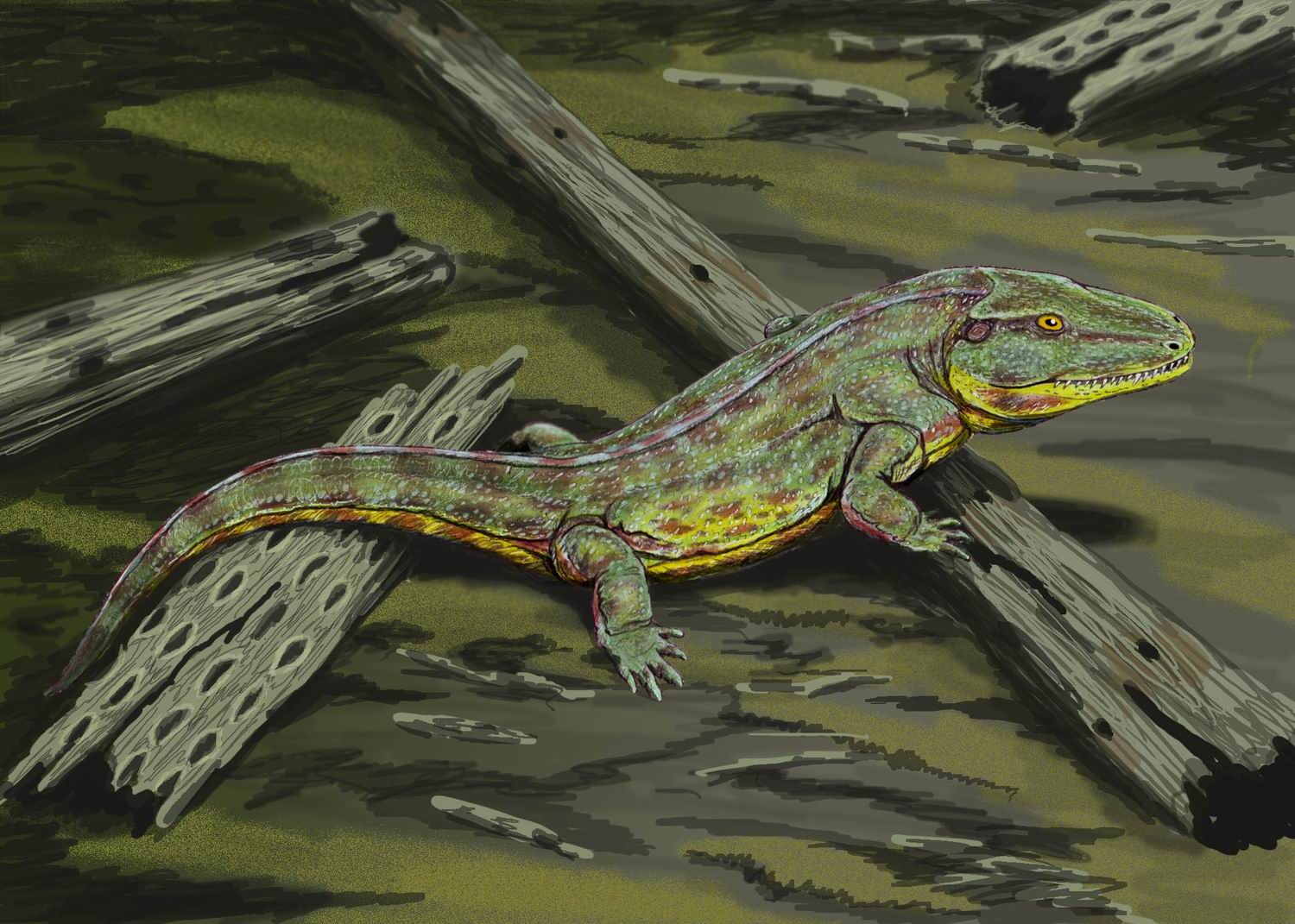Palaeo After Dark