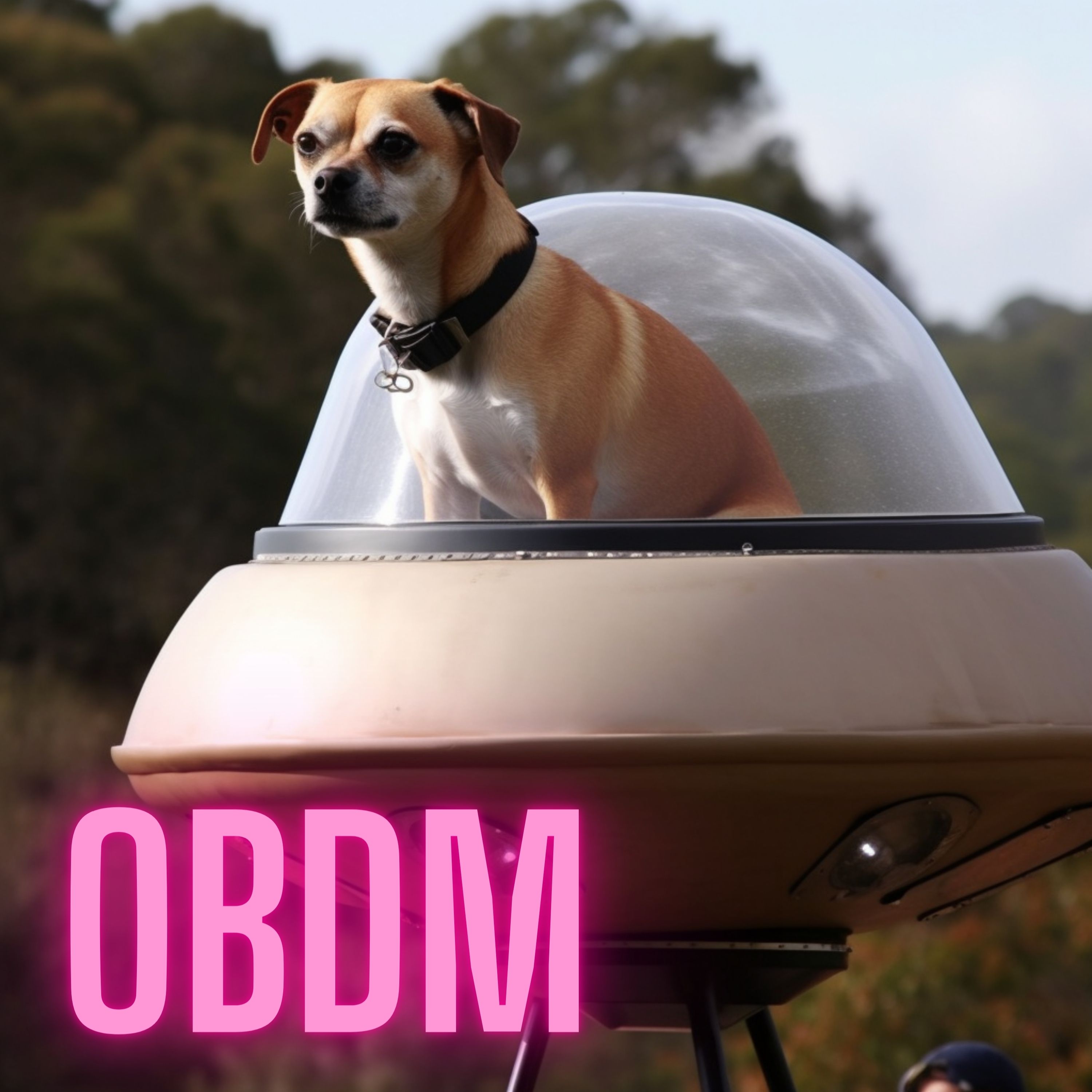 OBDM1133 - Mexican Alien | The Plan for America