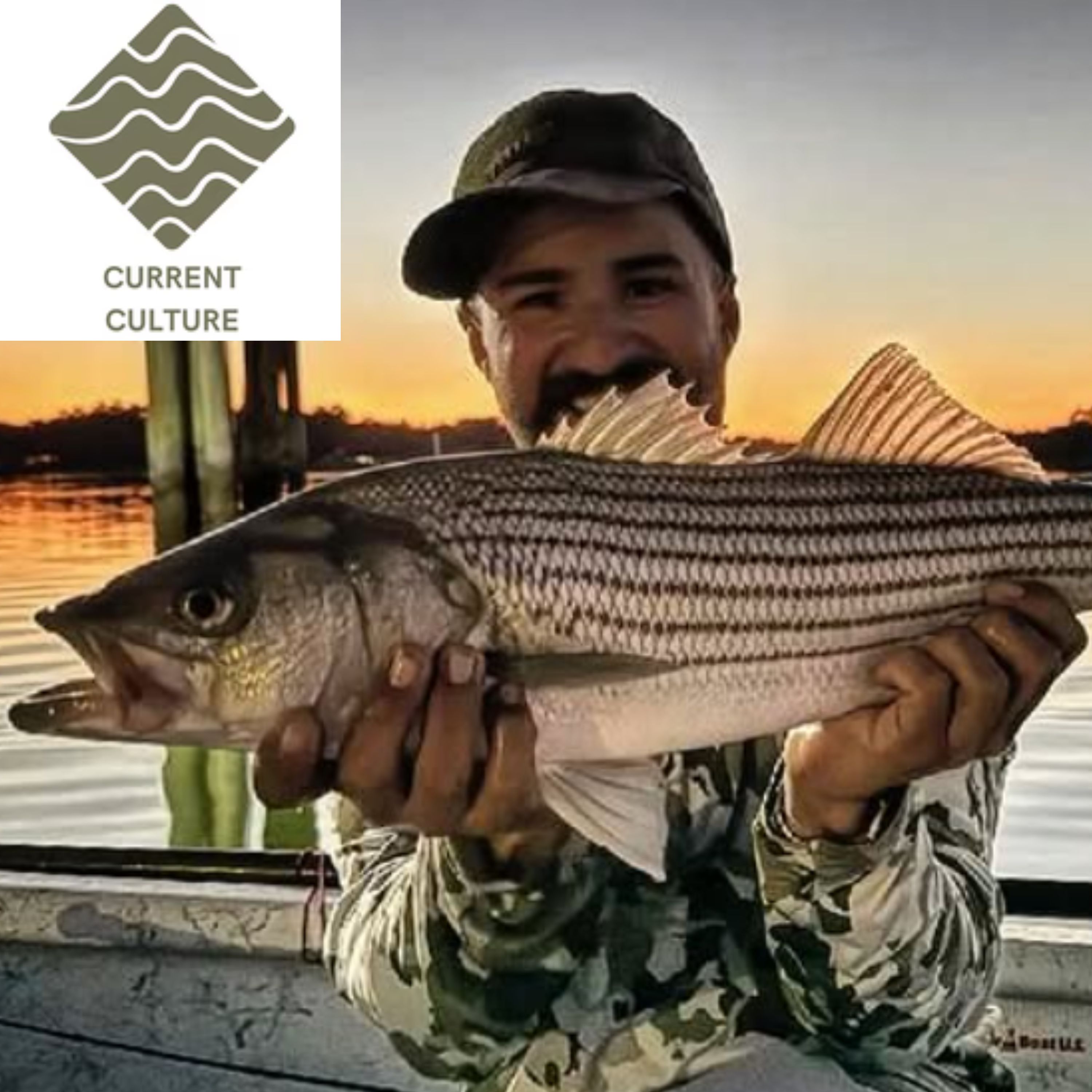 Off the Hook with MattyD