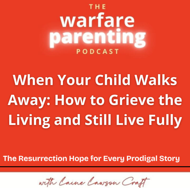Warfare Parenting: Faith-driven strategies for struggling parents of teens and adult children