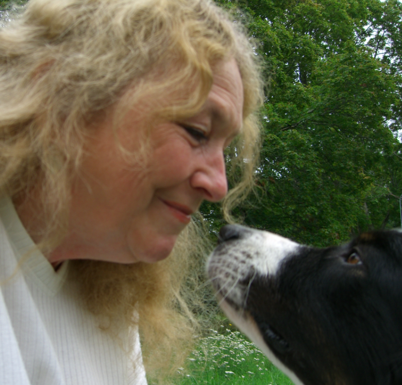 Hundpodden Vår Bästa Vän