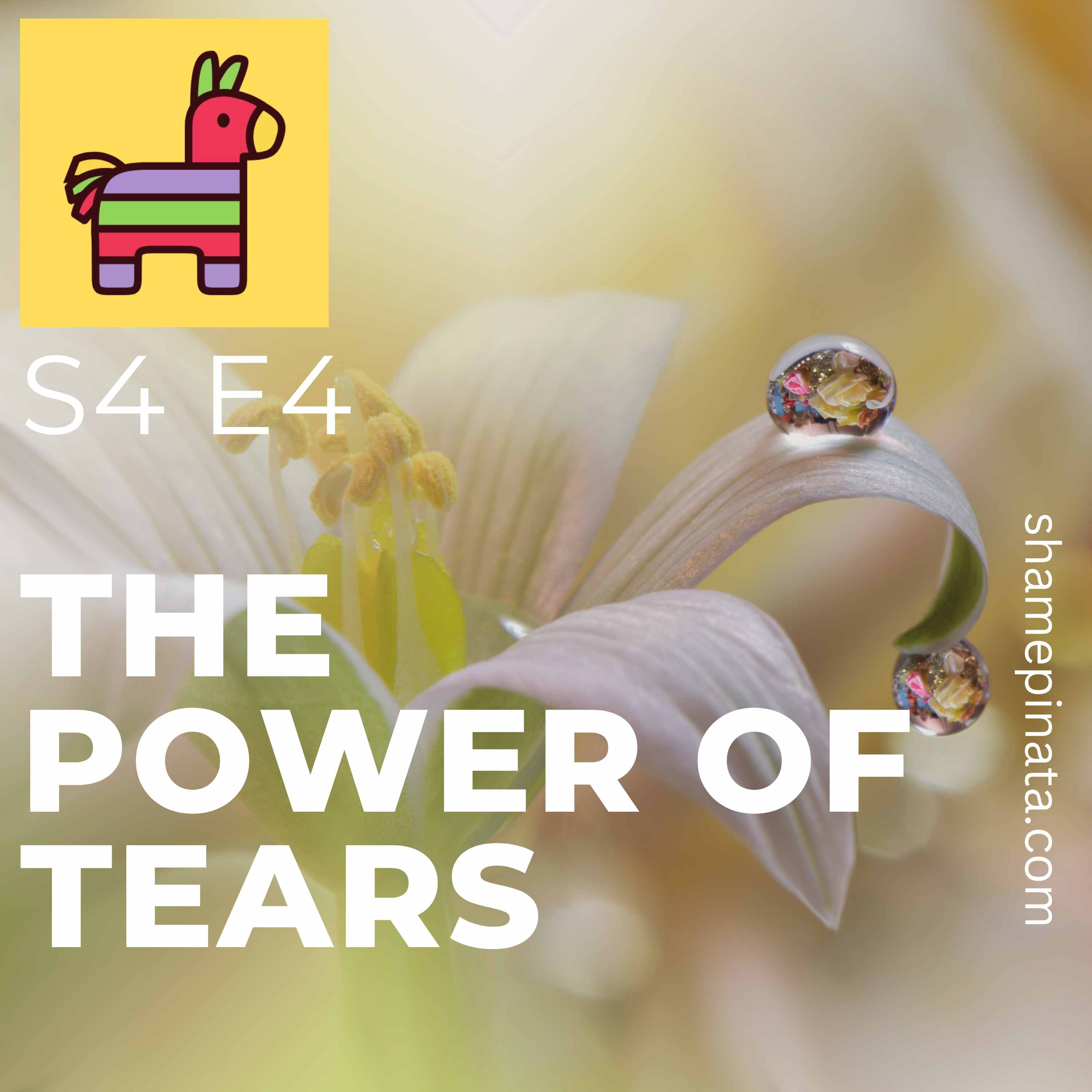 S4 E4 The Power of Tears (Ryan Kluttz)