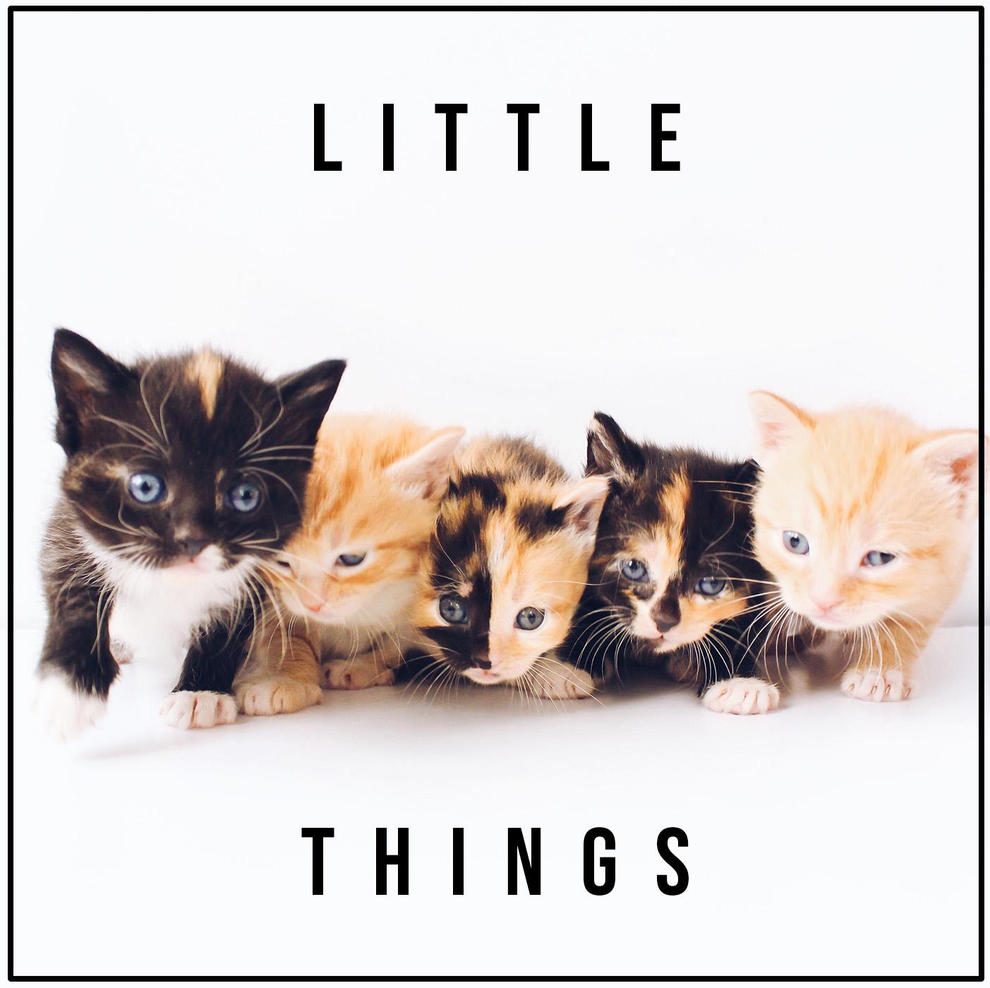 RAF343: The Little Things