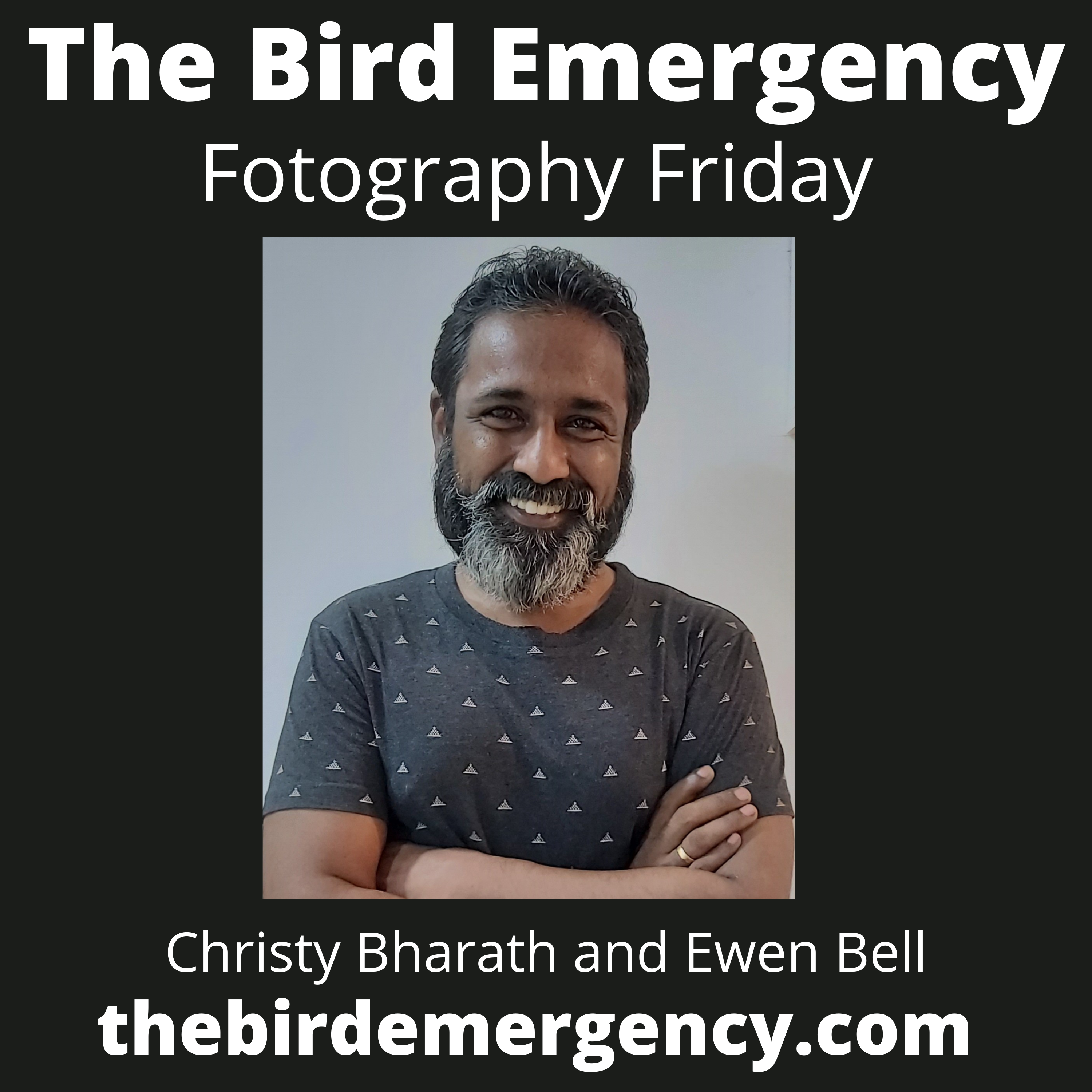 The Bird Emergency