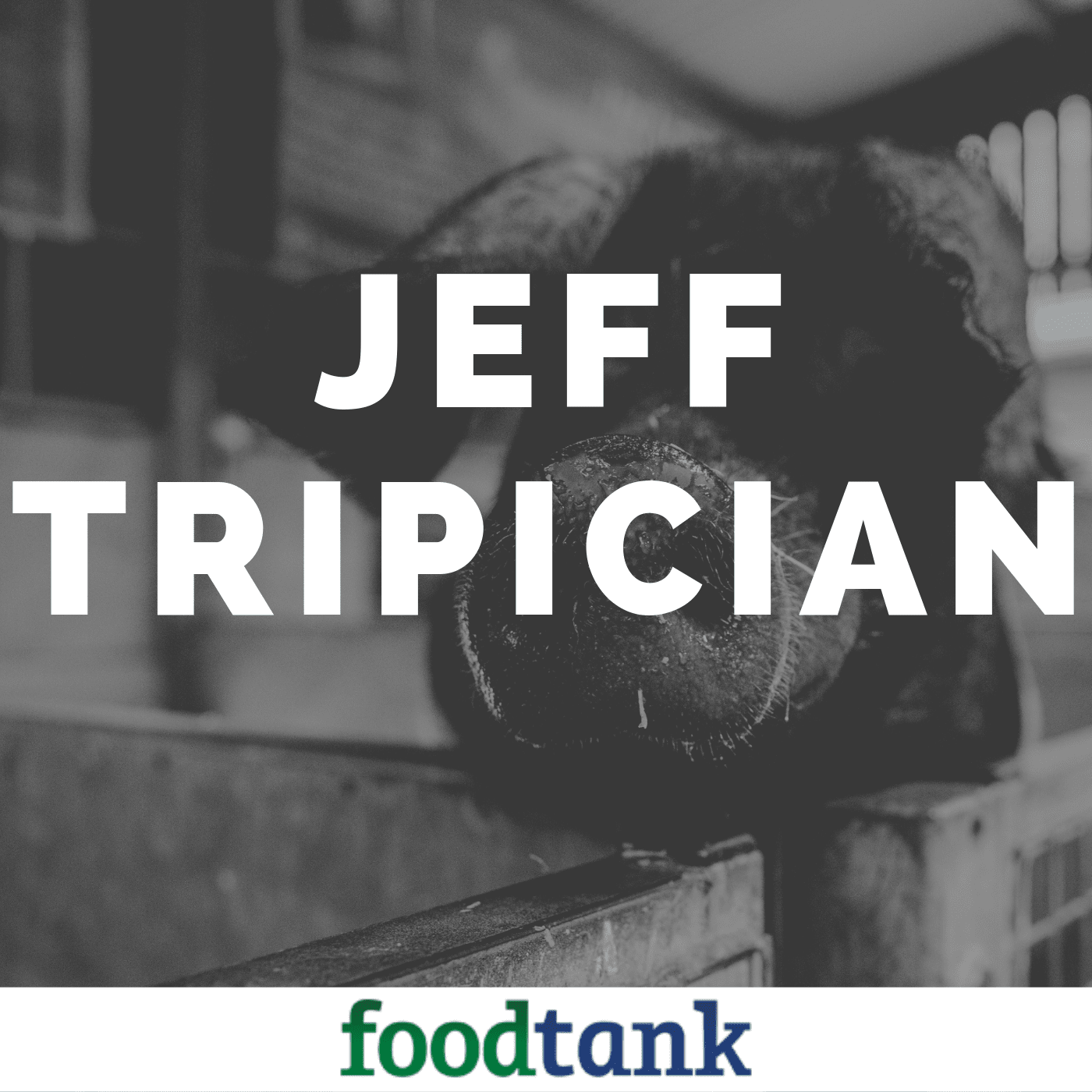 Food Talk with Dani Nierenberg (by Food Tank)