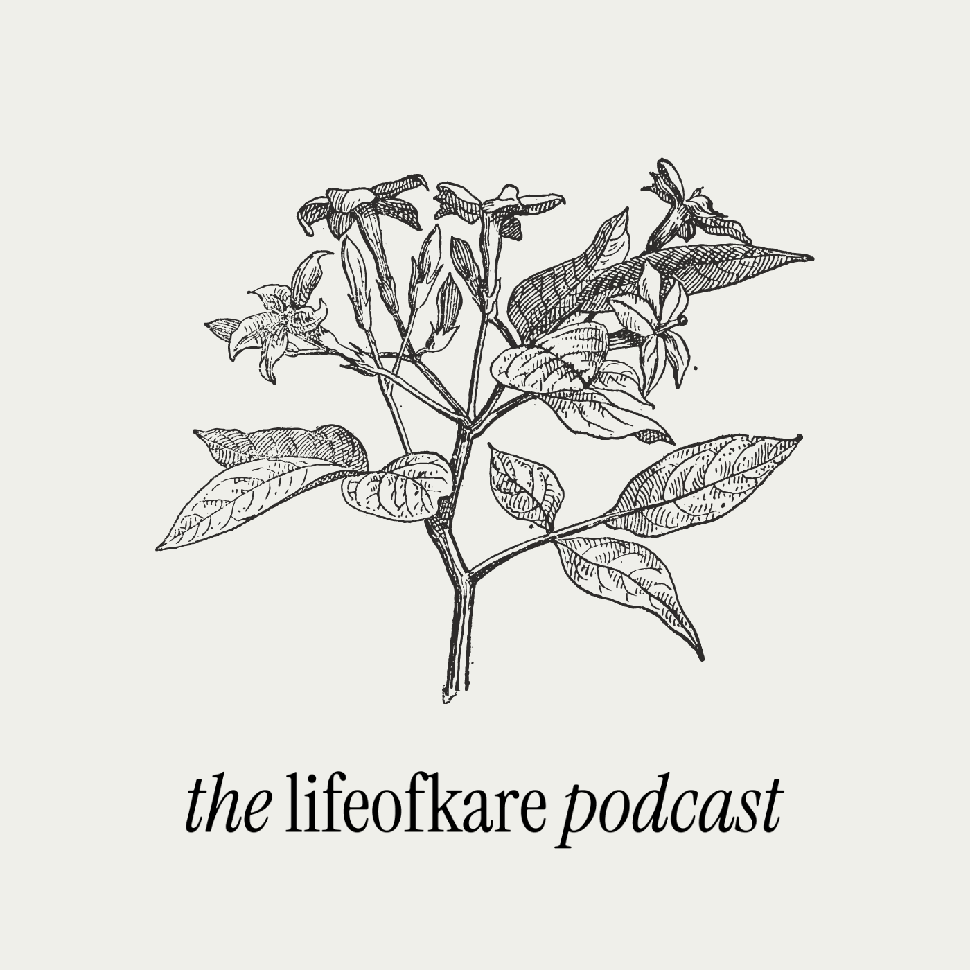 Responding to Roe V. Wade Being Overturned