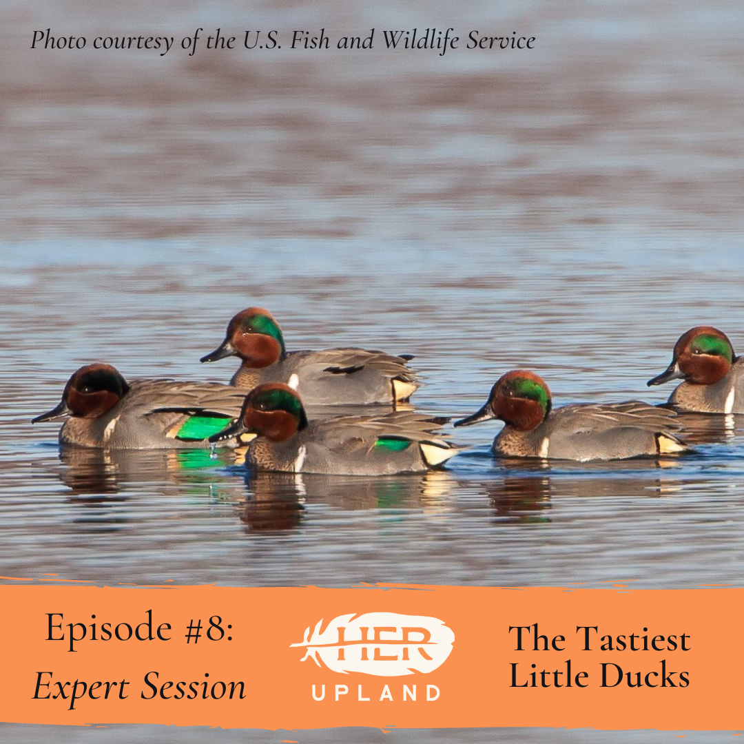 #8| The Tastiest Little Ducks