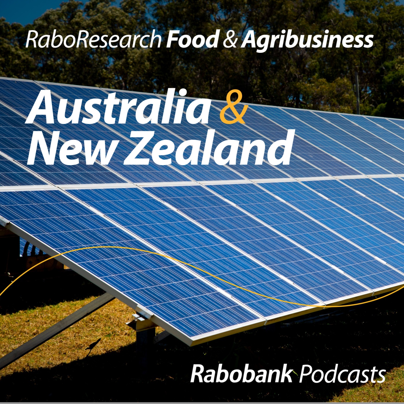 Energy transition and feedstock demand in Europe with RaboResearch Global Energy Transition Strategist Susan Hansen