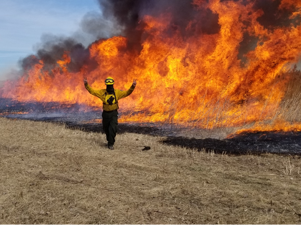 A Step Beyond the Fire