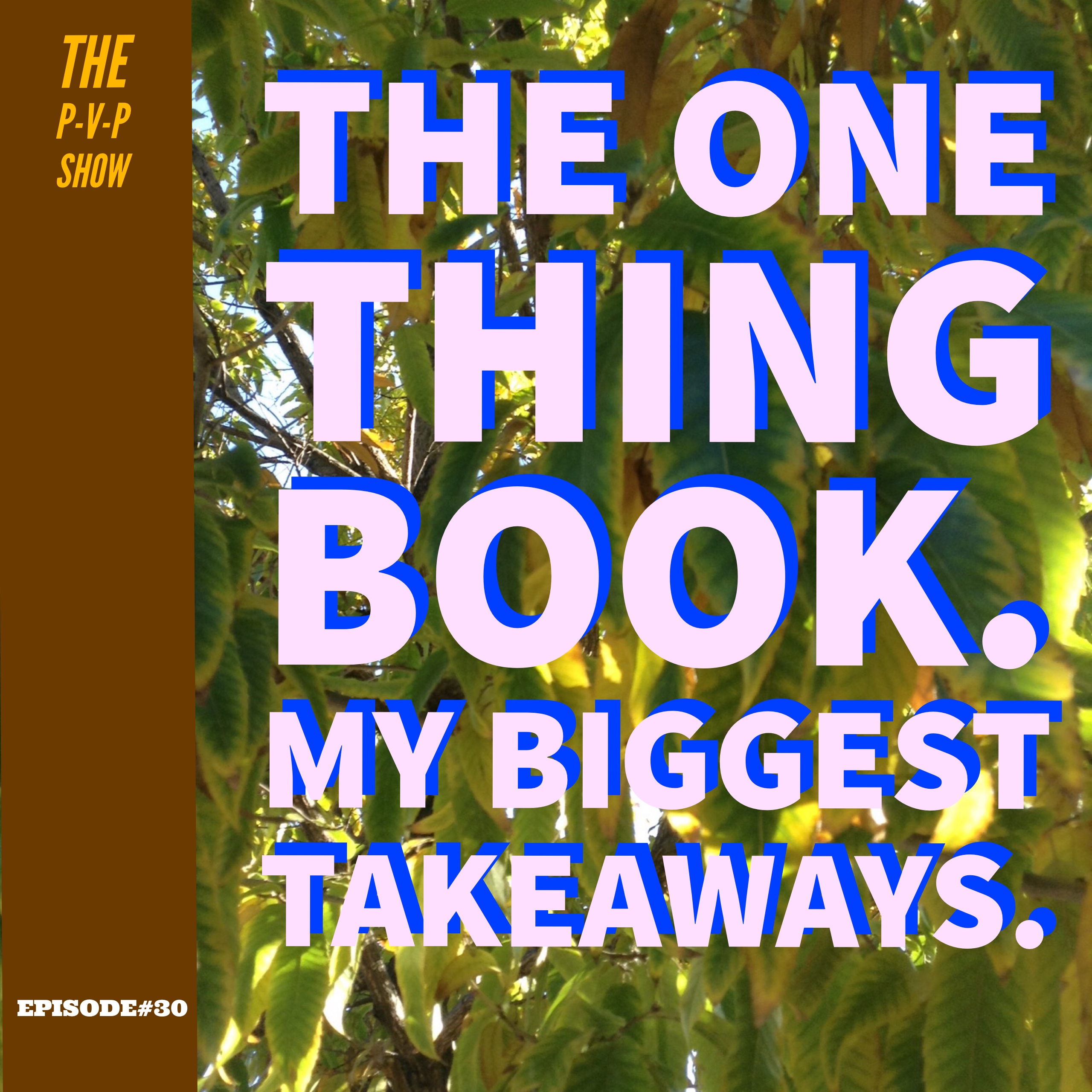 Episode#30 The ONE Thing book.   My Biggest Takeaways.