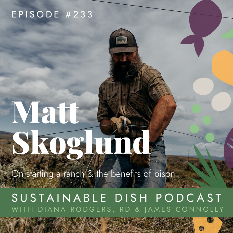 cover of episode Matt Skoglund, Owner of North Bridger Bison