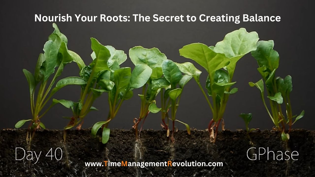 Nourish Your Roots - The Secret to Creating Work-Life Balance