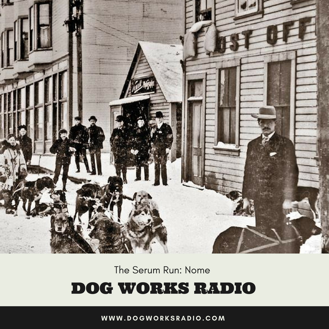 The Serum Run: Preview