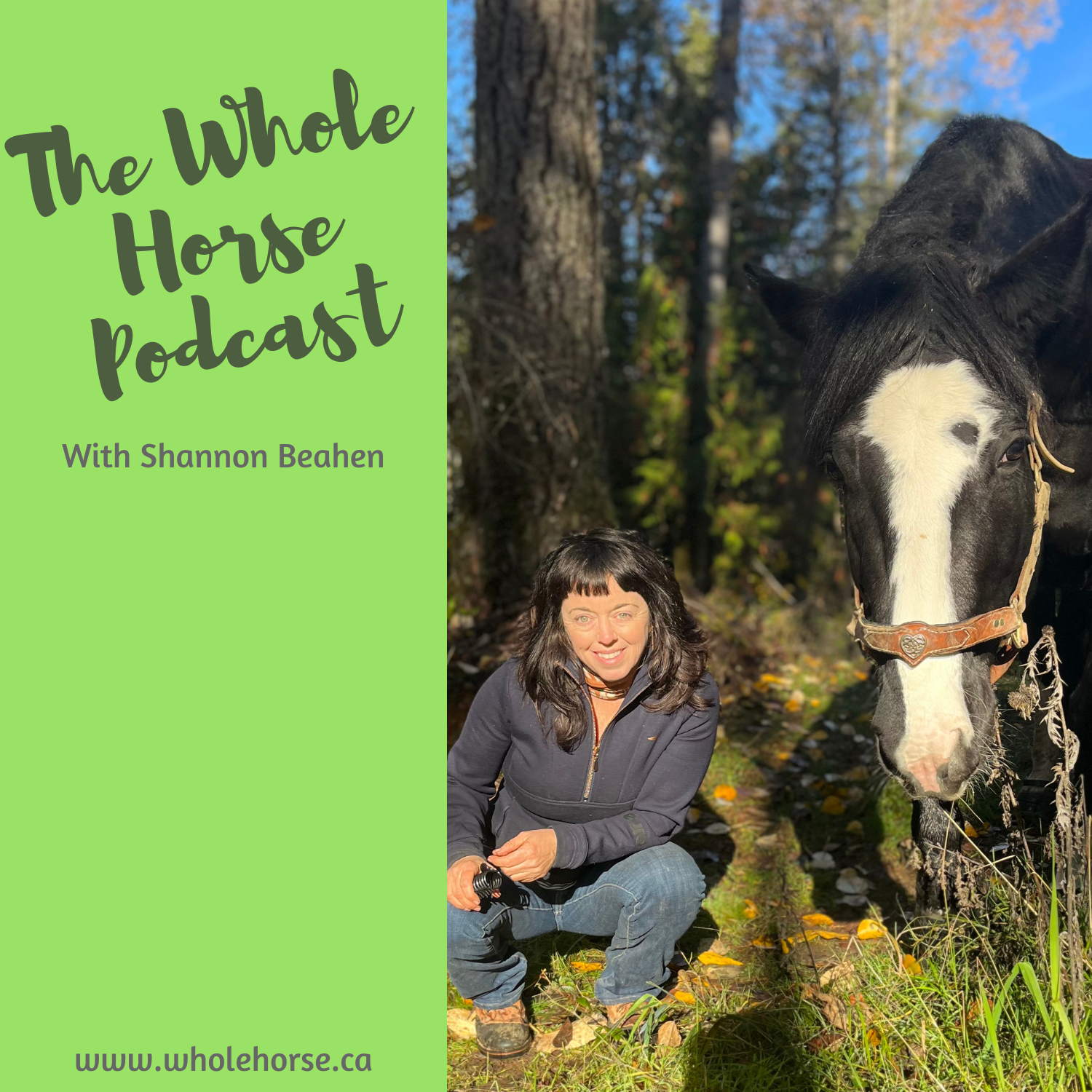 The Whole Horse Podcast with Alexa Linton