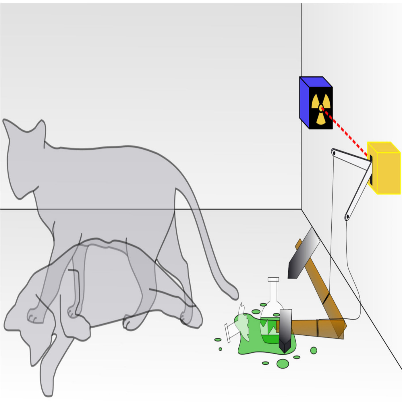 Does the Cat Exist