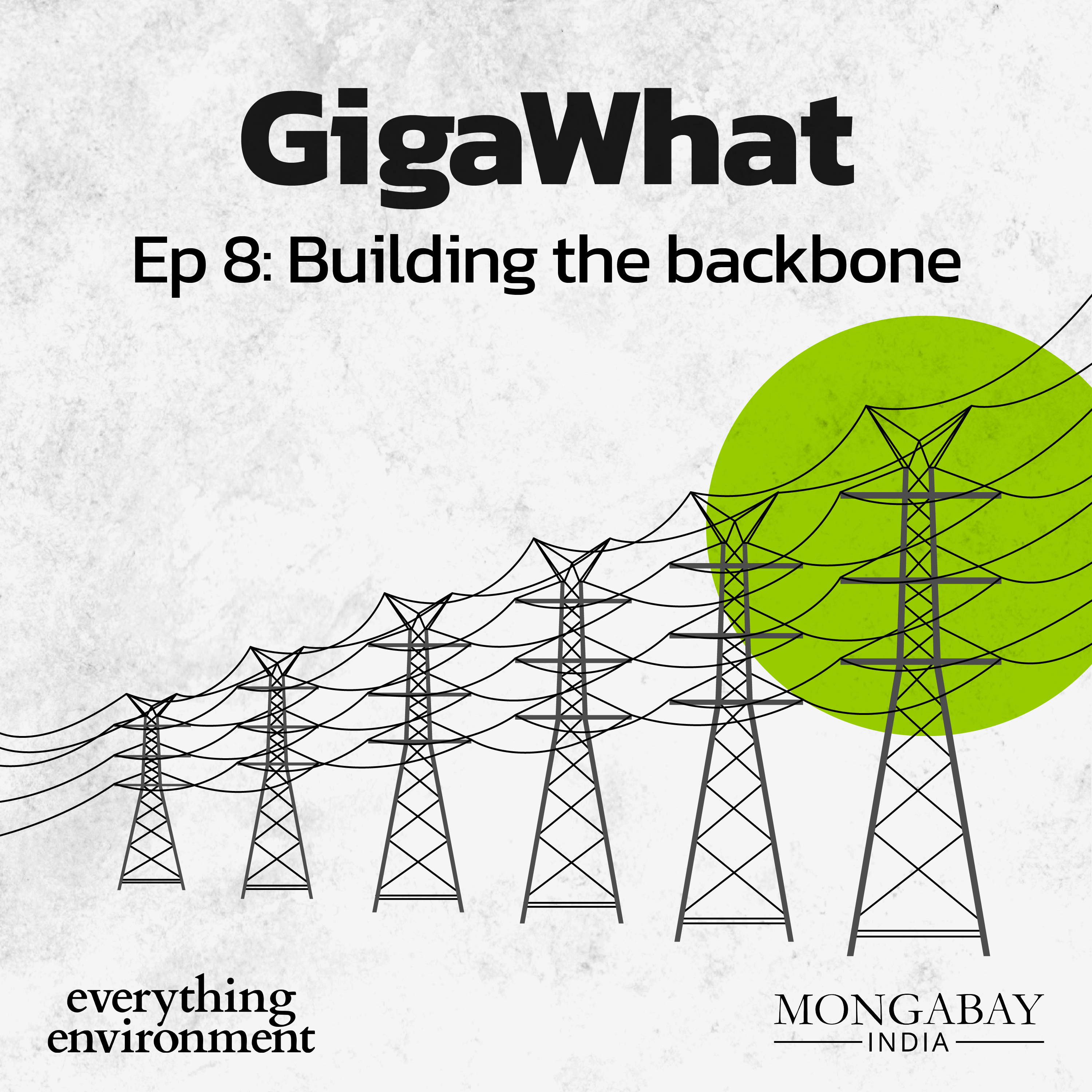 Everything Environment by Mongabay India