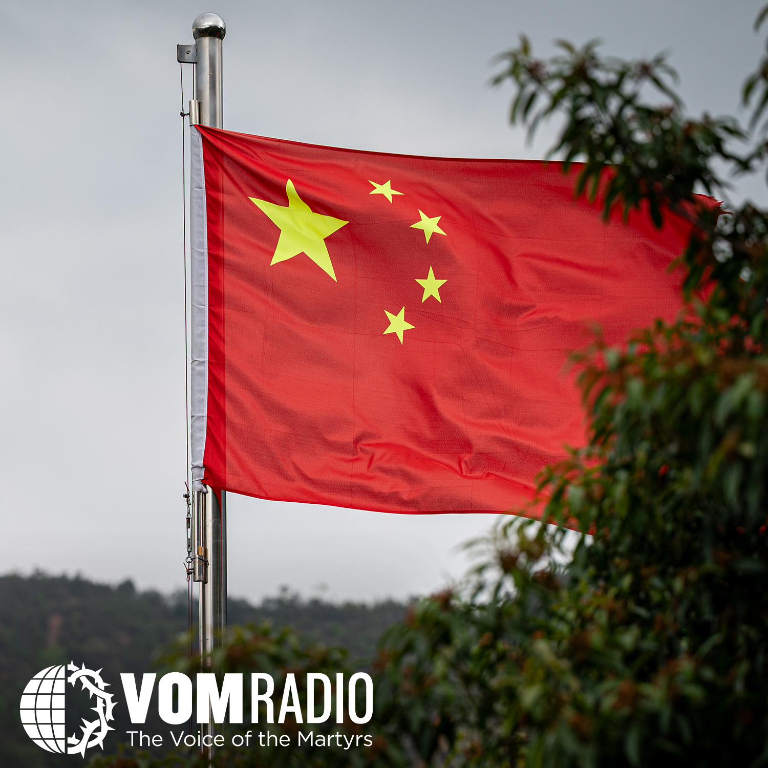 Episode Logo
