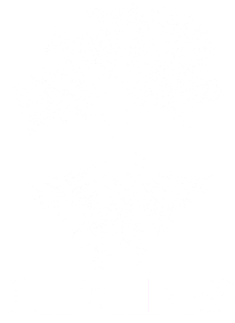 Cole Wellness: Build Your Best Life