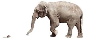 Podcast 552: PE Management and Risk Stratification