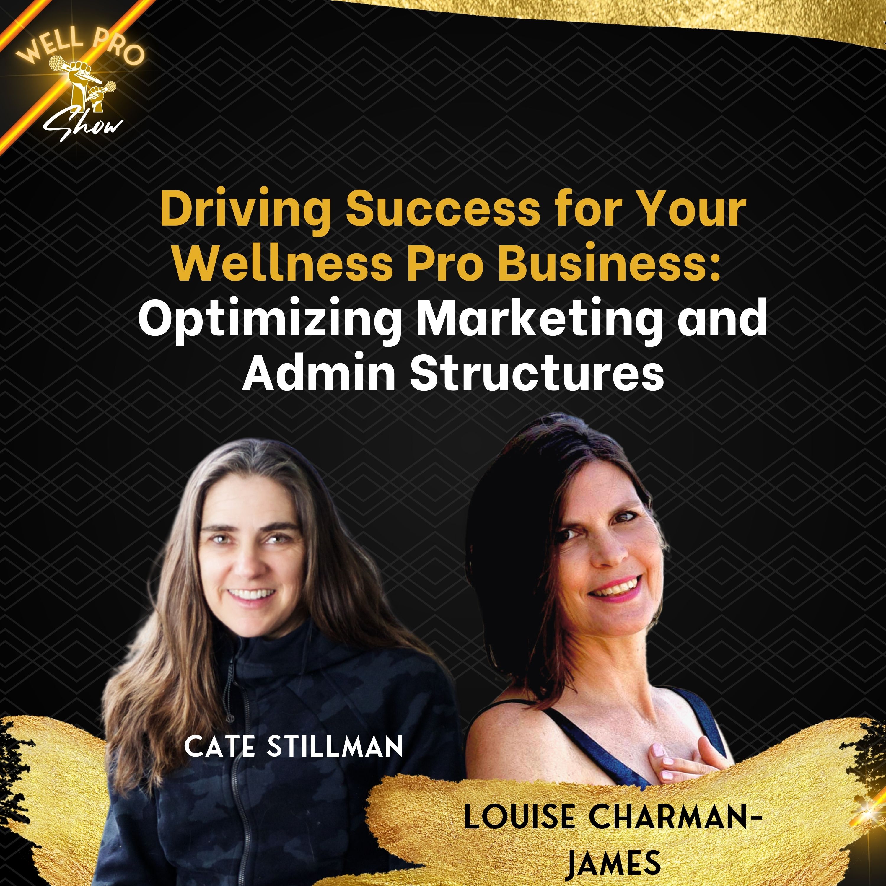 Driving Success for Your Wellness Pro Business: Optimizing Marketing and Admin Structures
