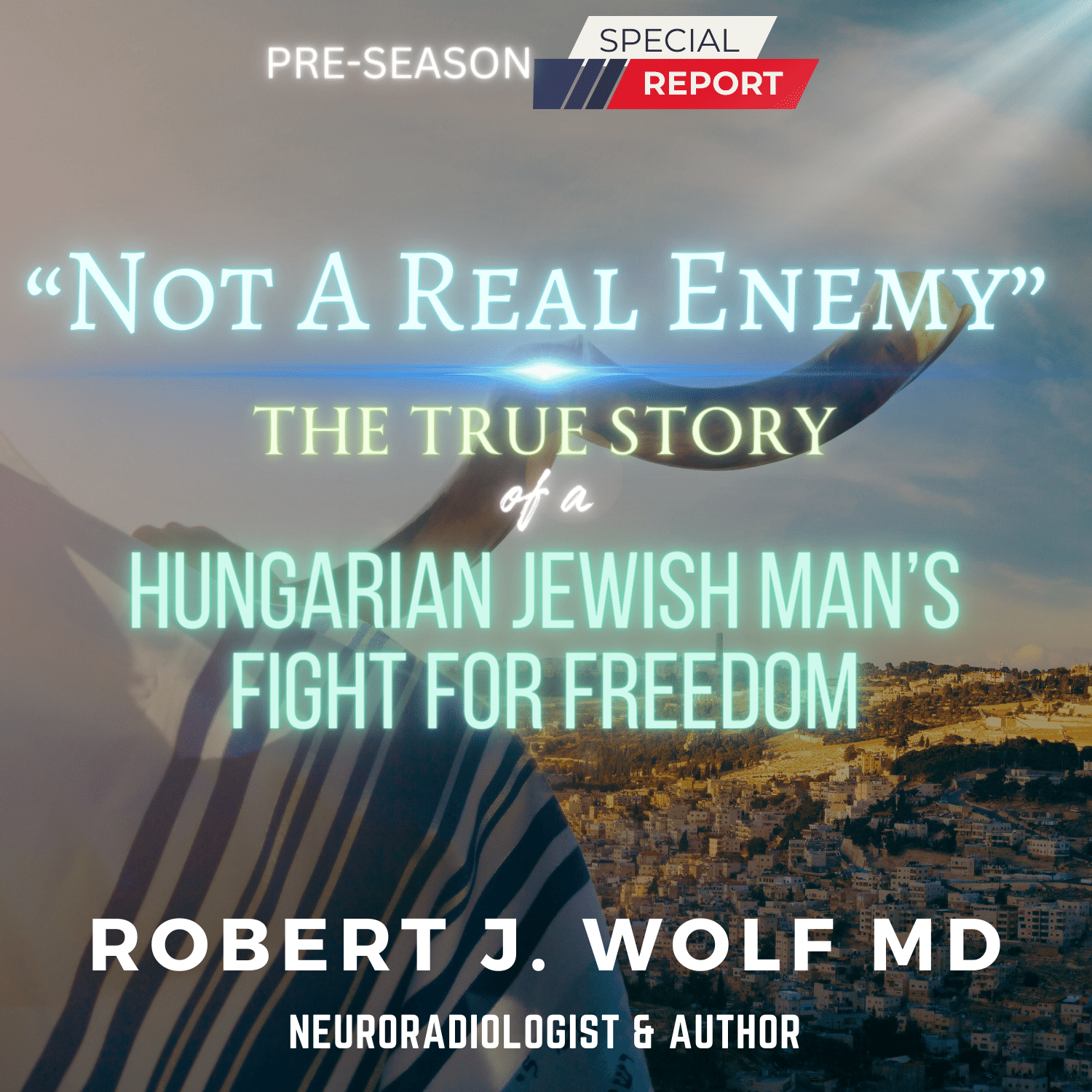 Not A Real Enemy - The True Story of a Hungarian Jewish Man's Fight For Freedom