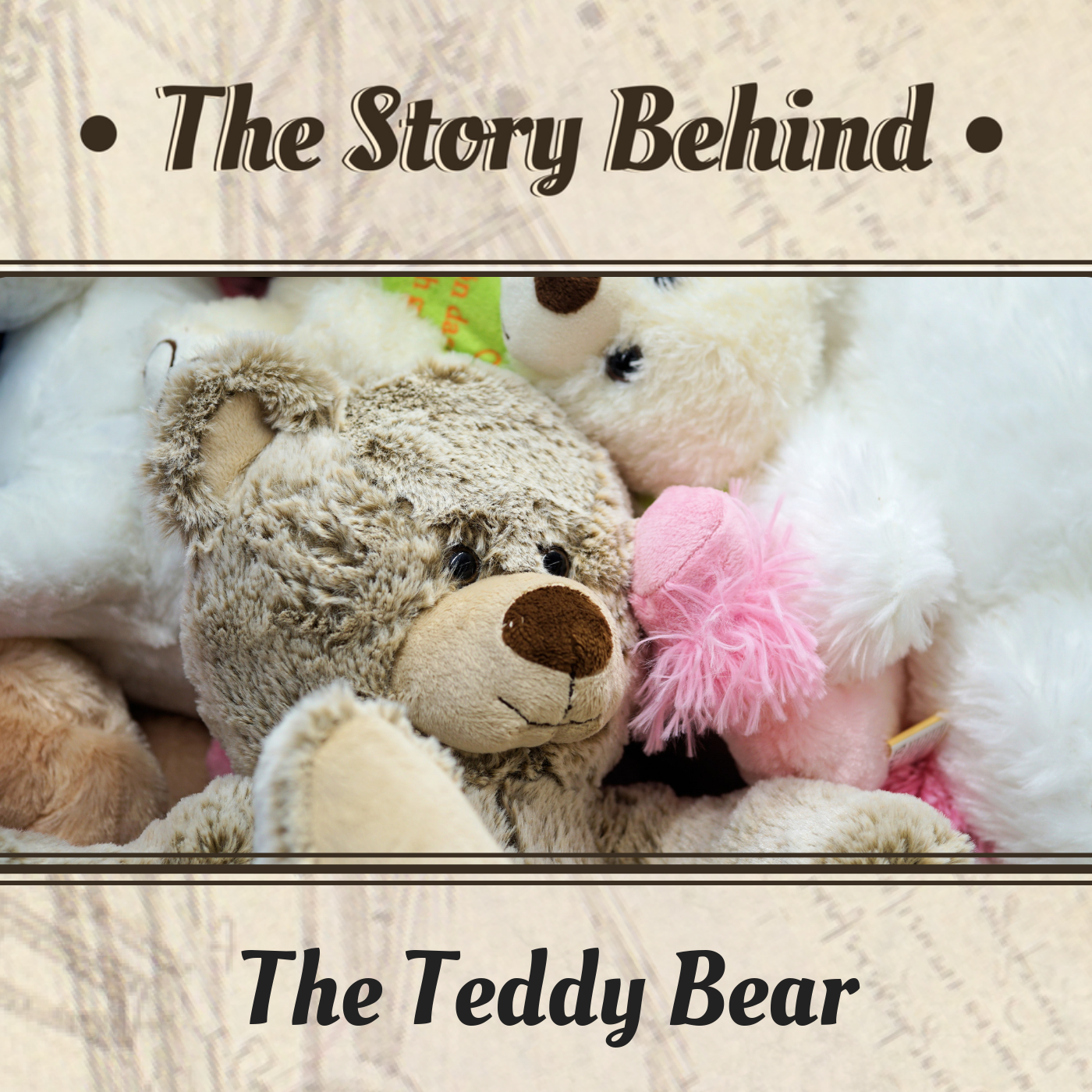 The Teddy Bear | Conflicting Stories, Theodore Roosevelt, Steiff Bears (TSB123)