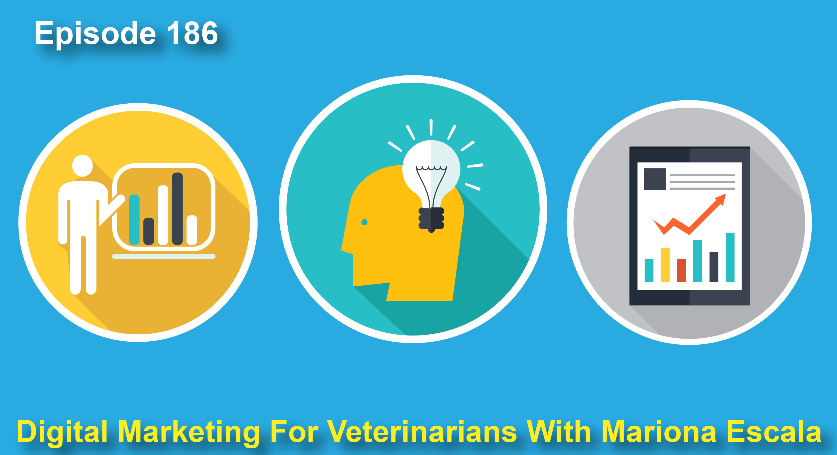 The Veterinary Marketing Podcast