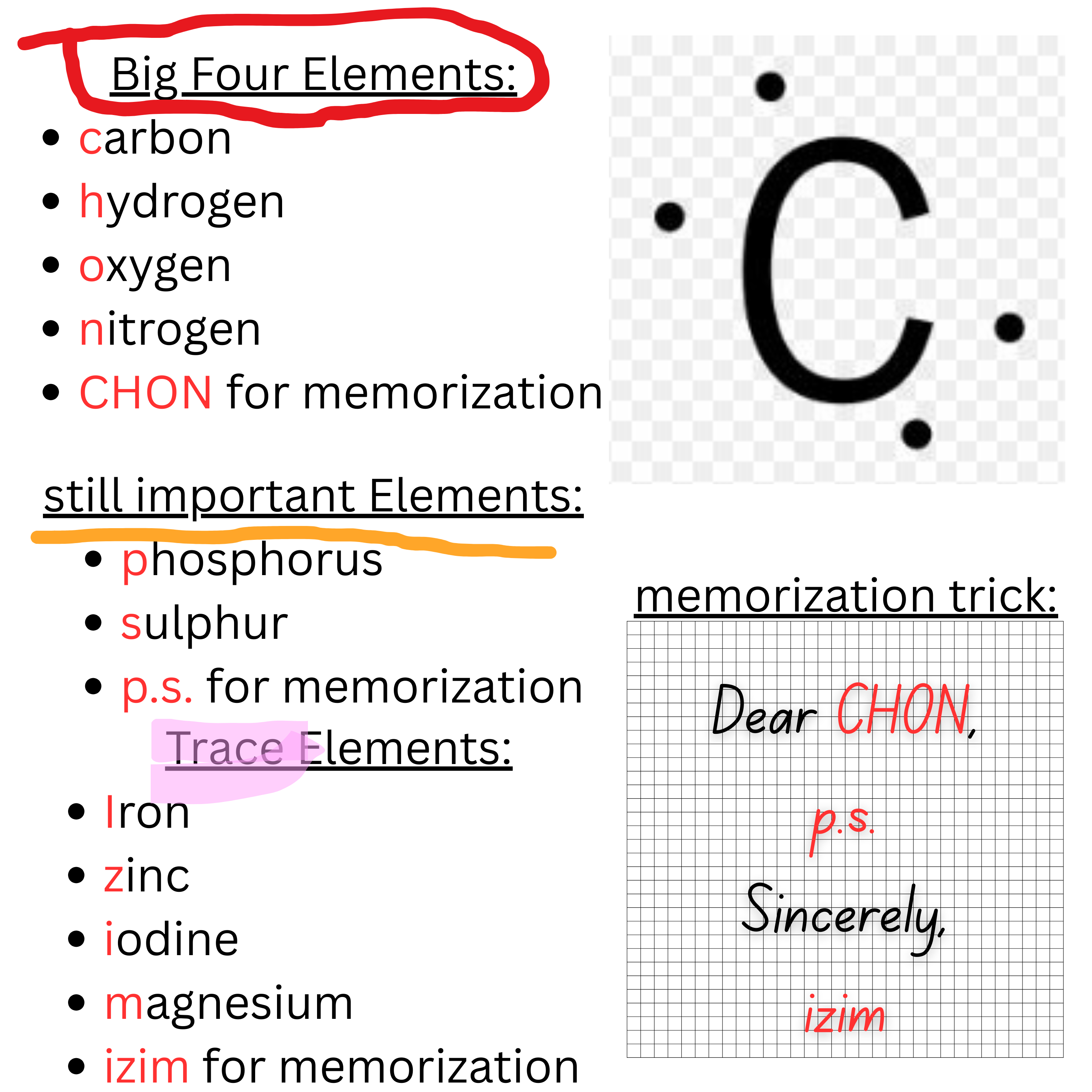 AP Biology - Unit 1.2 Elements of Life