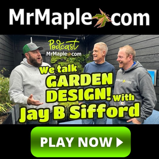 Garden Design & Japanese Maples | Award Winning Landscape Designer Jay Sifford