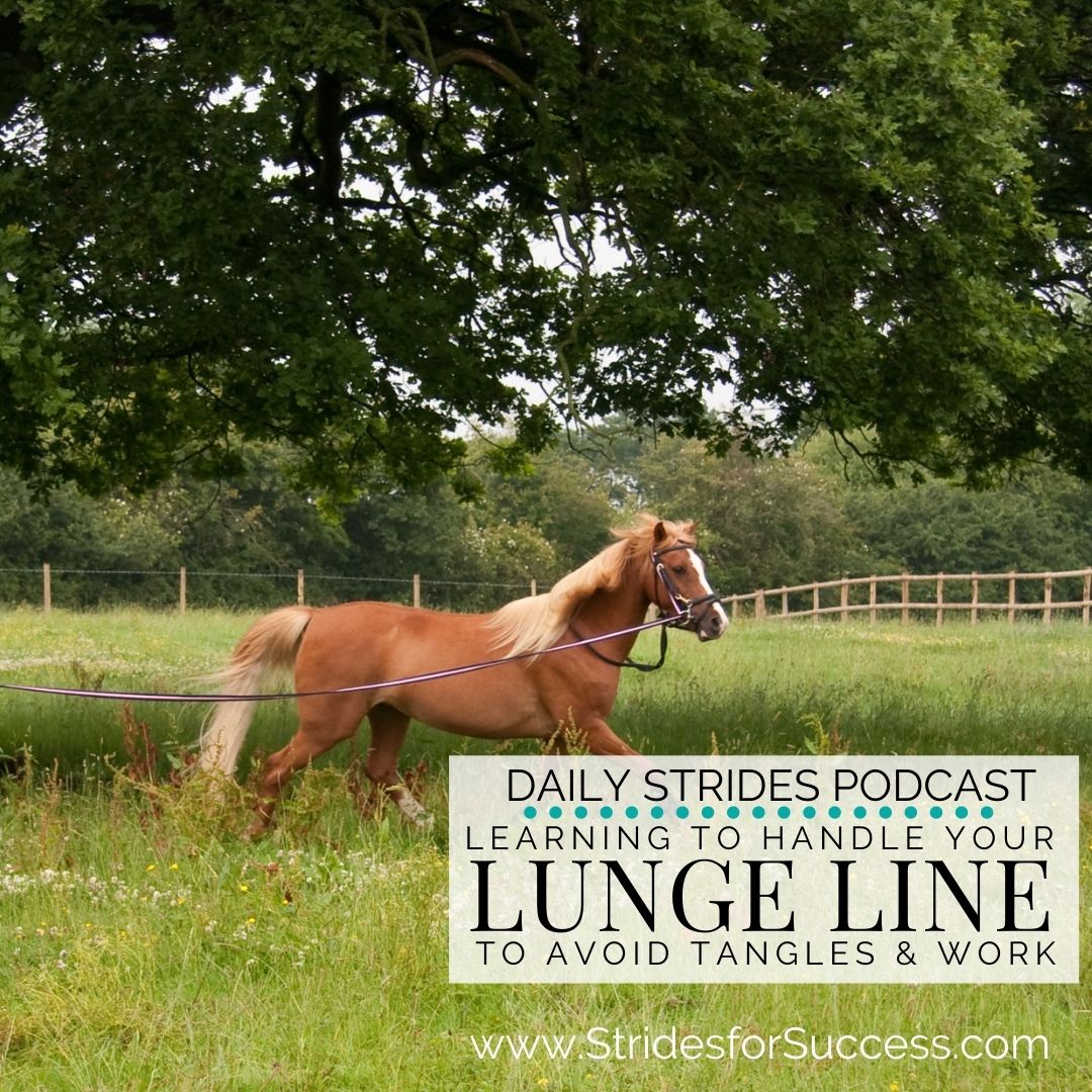 Learning to Handle Your Lunge Line to Avoid Tangles & Enhance Contact