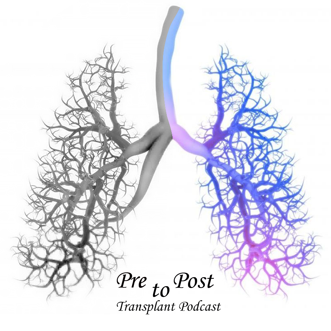 Pre to Post Transplant